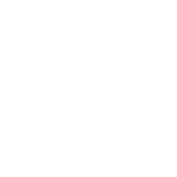 Custom Support