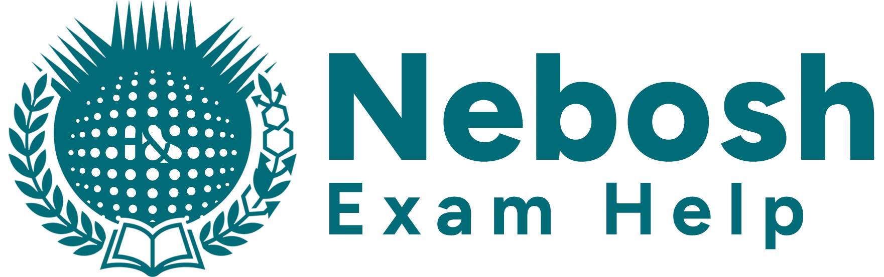 Nebosh Exam Help Logo